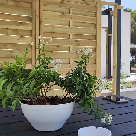 Casa vacanze Mirelisa *